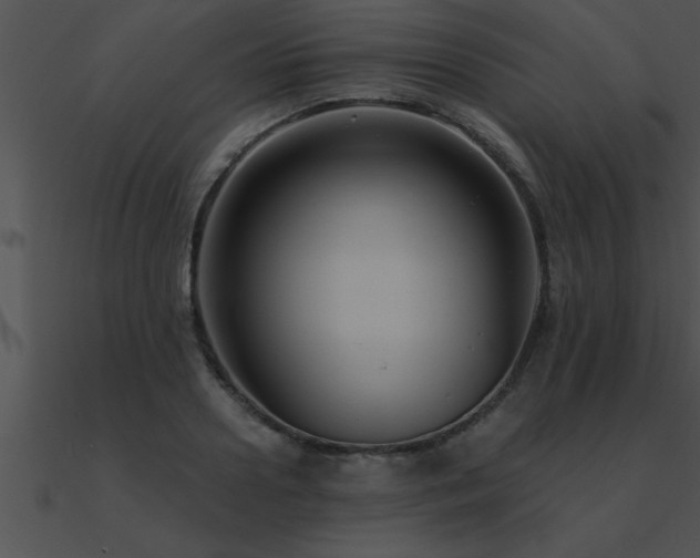 X0000090980938200708021455