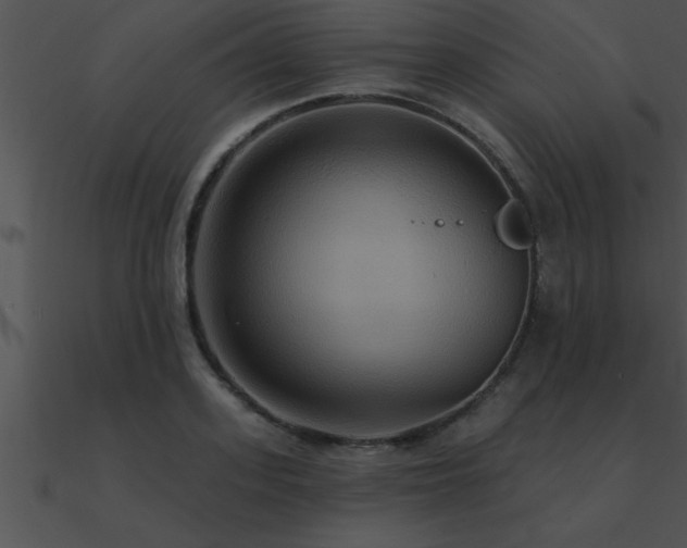 X0000090980939200708021455