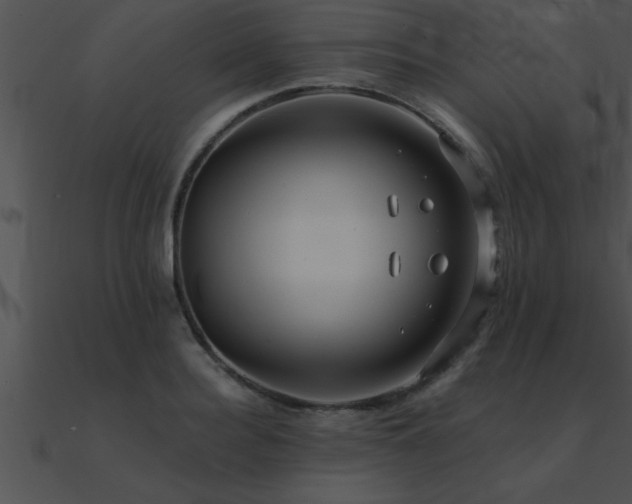 X0000090980940200708021455
