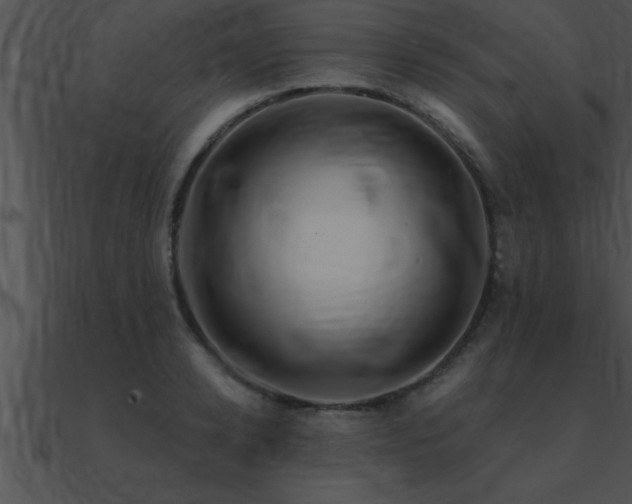 X0000090980942200708021455