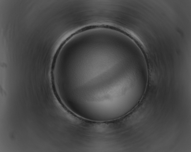 X0000090980943200708021455