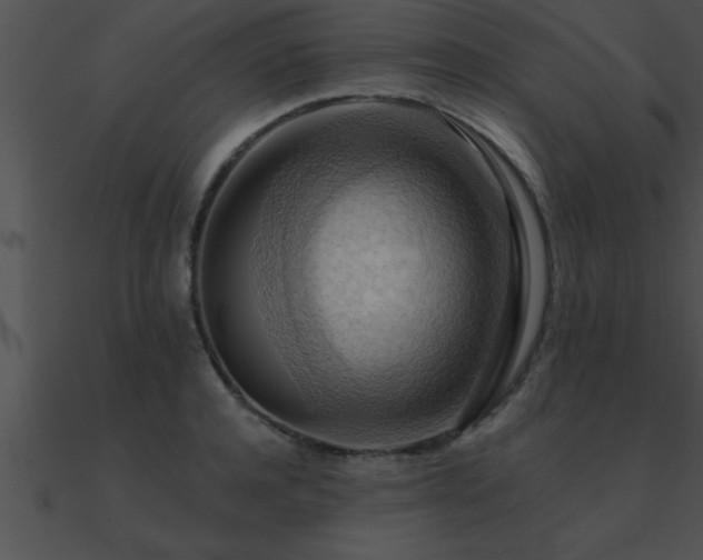 X0000090980944200708021455