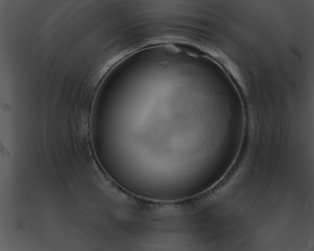 X0000090980945200708021455