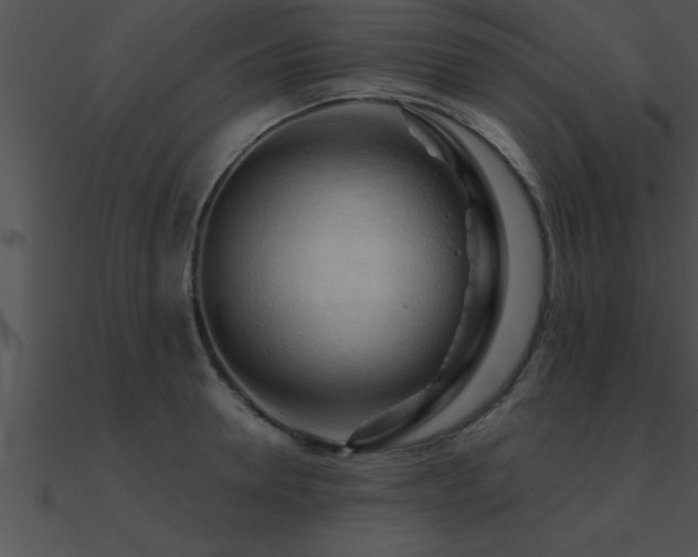 X0000090980946200708021455