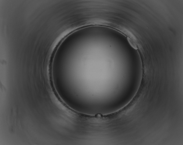 X0000090980947200708021455