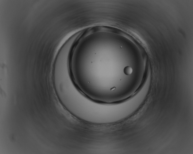 X0000090980948200708021455