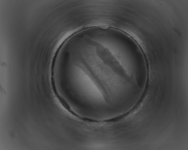 X0000090980949200708021455