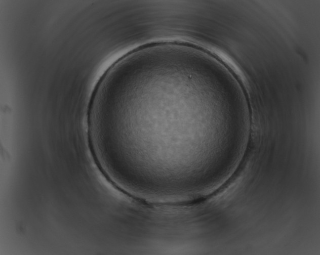 X0000090980951200708021455