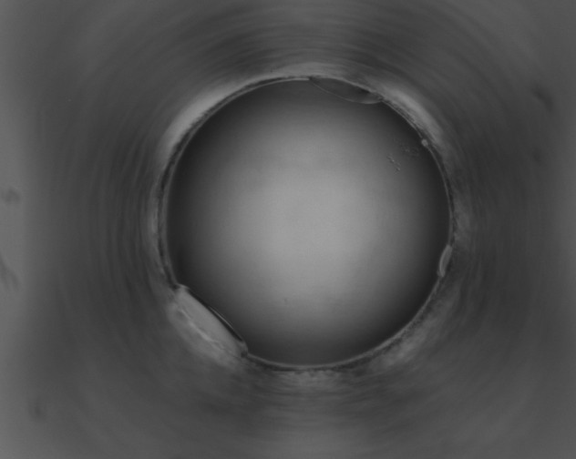X0000090980952200708021455