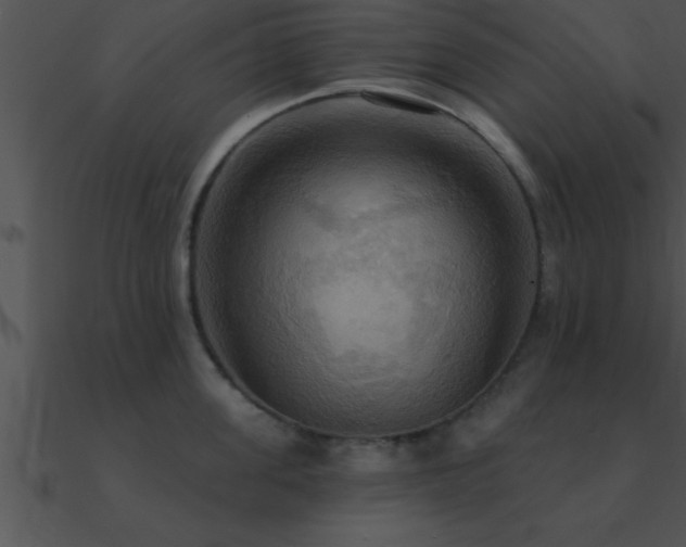 X0000090980955200708021455