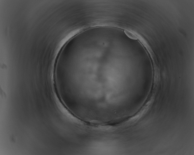 X0000090980957200708021455