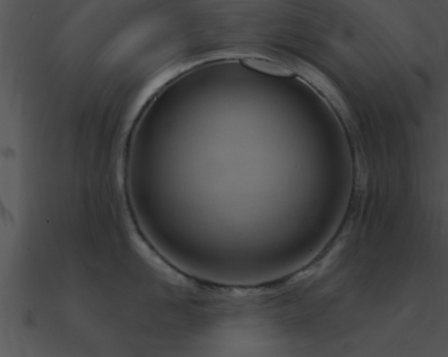 X0000090980958200708021455
