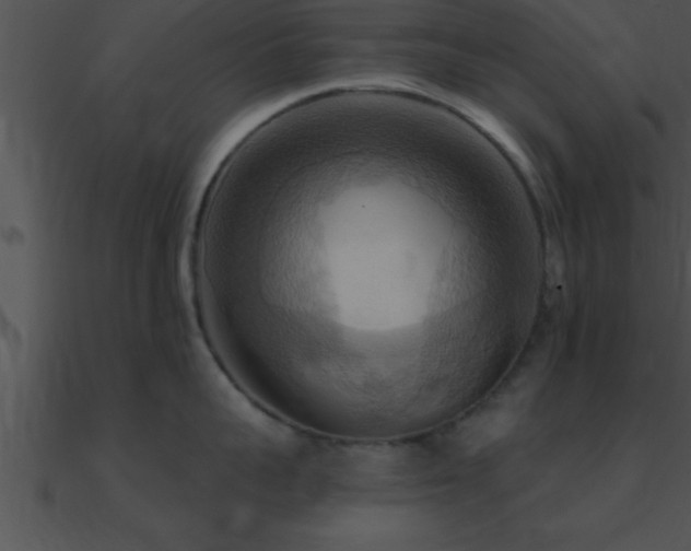 X0000090980959200708021455