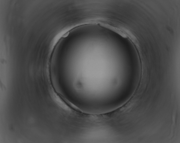 X0000090980960200708021455