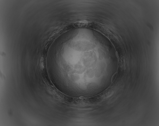 X0000090980962200708021455
