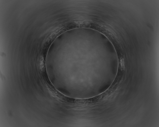 X0000090980963200708021455