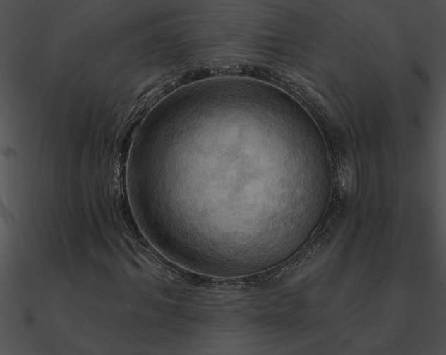 X0000090980964200708021455