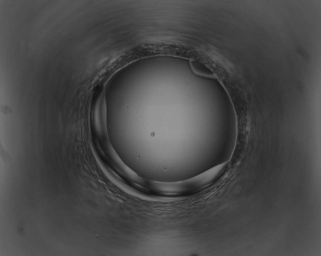 X0000090980965200708021455