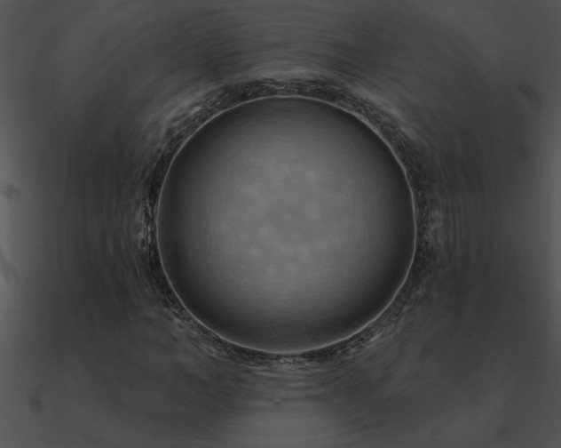 X0000090980966200708021455