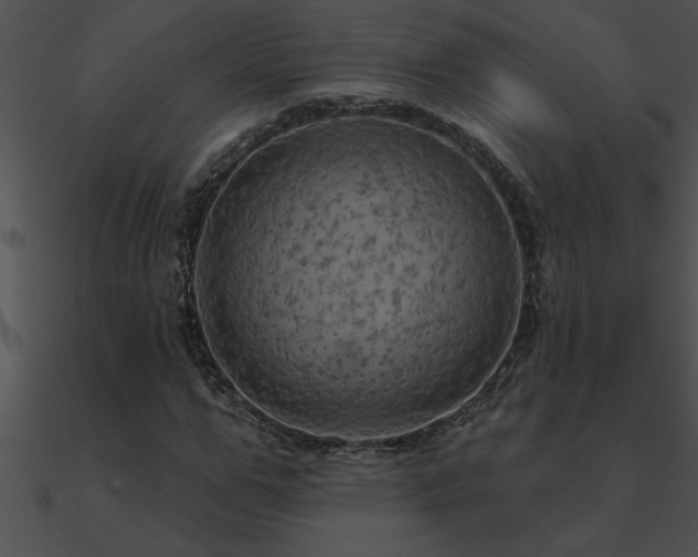 X0000090980967200708021455
