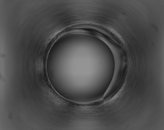 X0000090980969200708021455