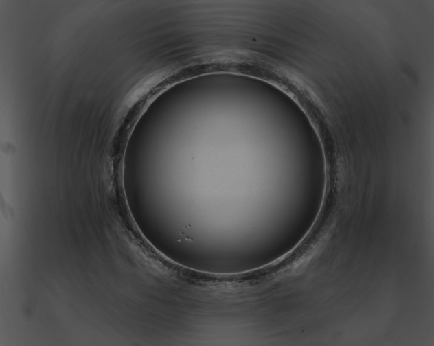 X0000090980970200708021455