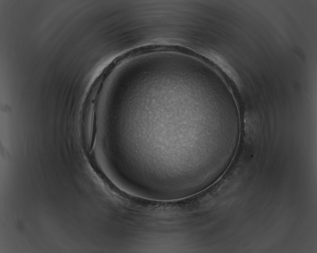 X0000090980972200708021455