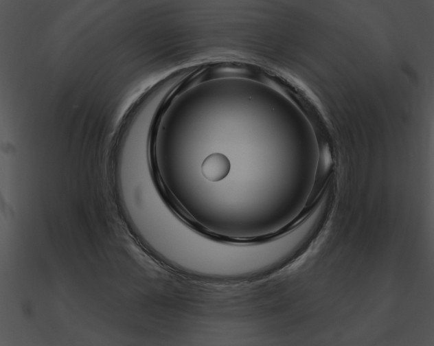 X0000090980973200708021455