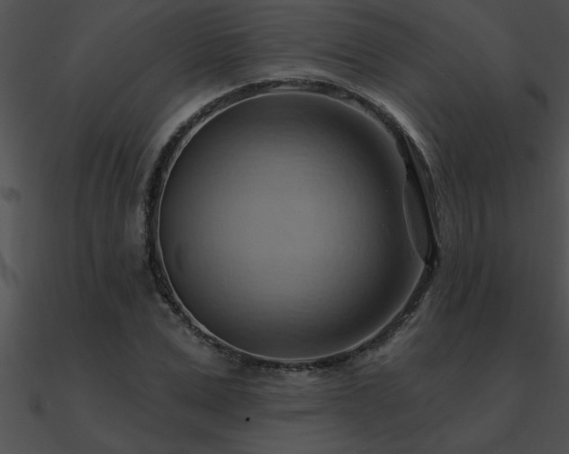 X0000090980975200708021455