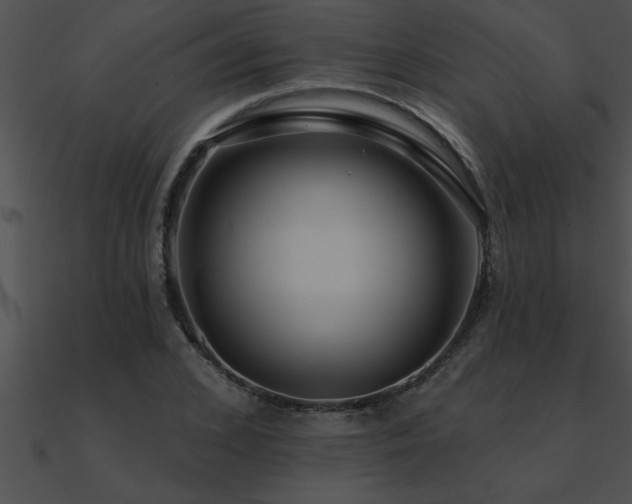 X0000090980976200708021455