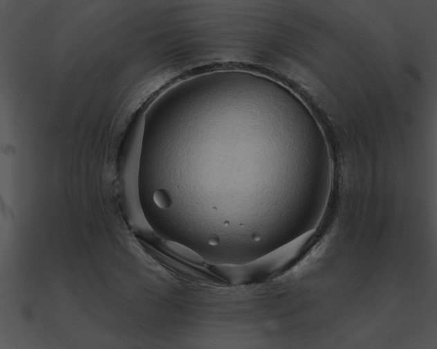 X0000090980977200708021455