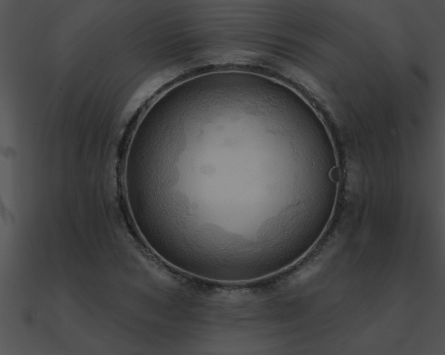 X0000090980978200708021455