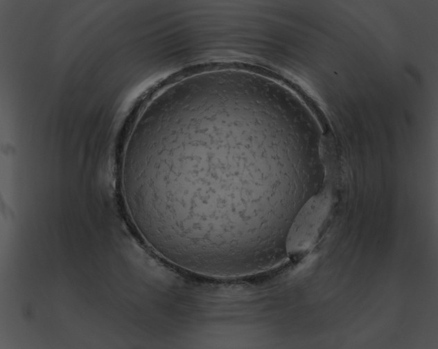 X0000090980979200708021454