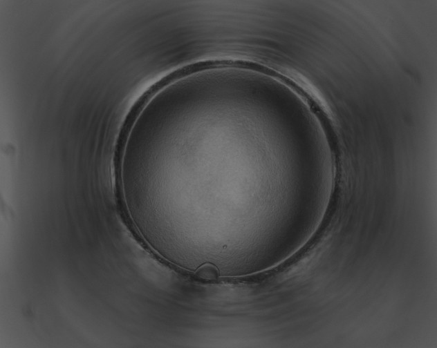 X0000090980980200708021454