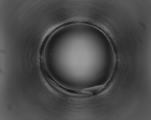 X0000090980981200708021454