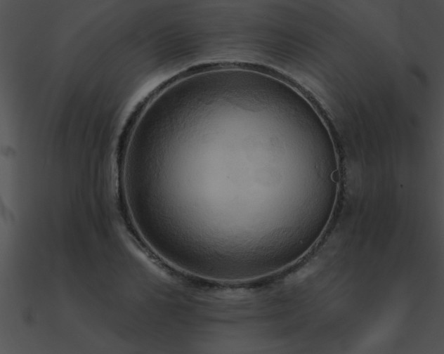 X0000090980982200708021454
