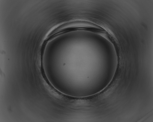 X0000090980984200708021454