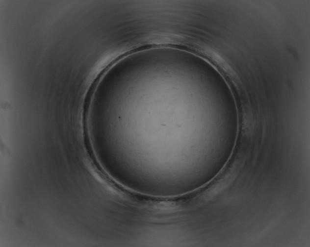 X0000090980986200708021454