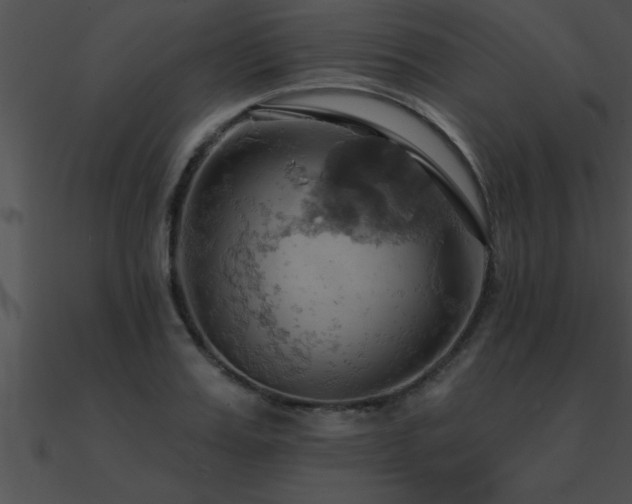 X0000090980987200708021454
