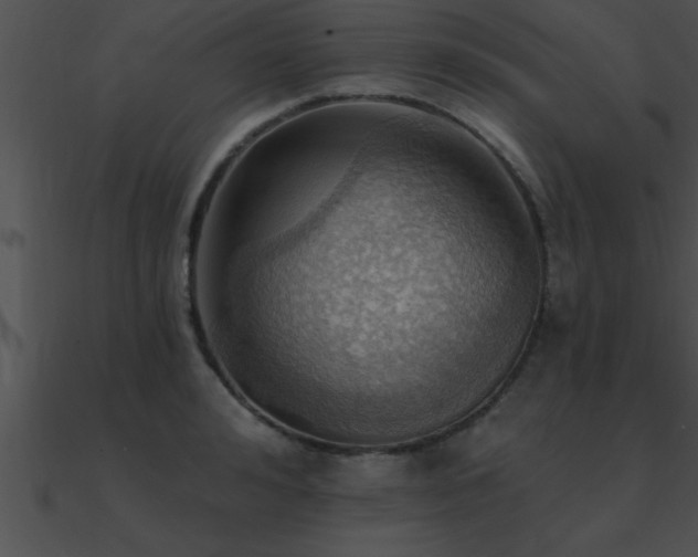 X0000090980992200708021454