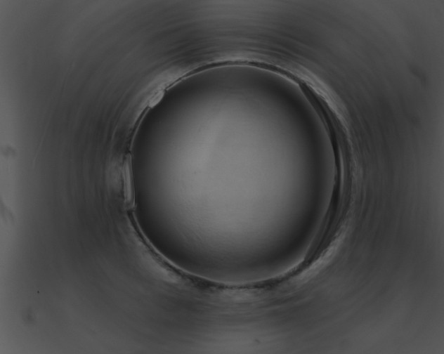 X0000090980993200708021454