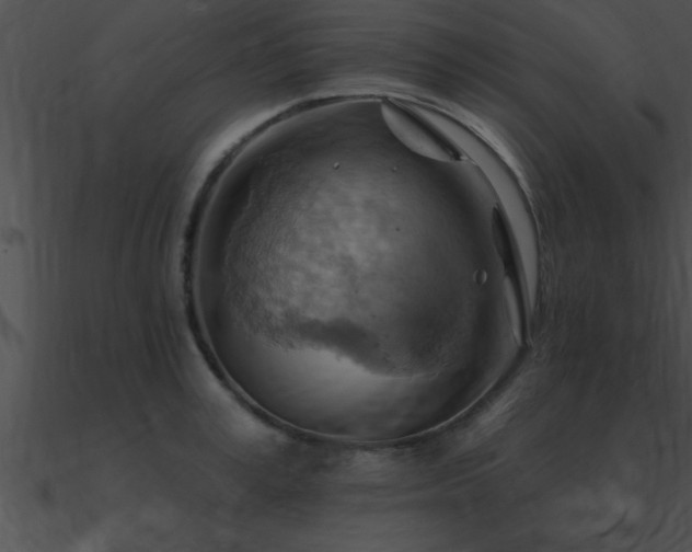 X0000090980995200708021454