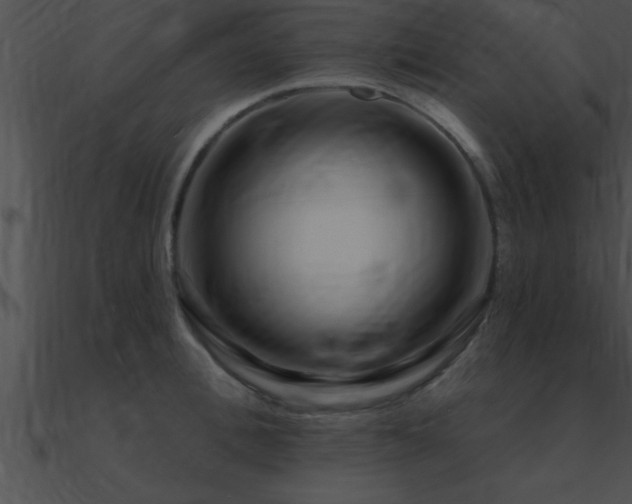 X0000090980996200708021454