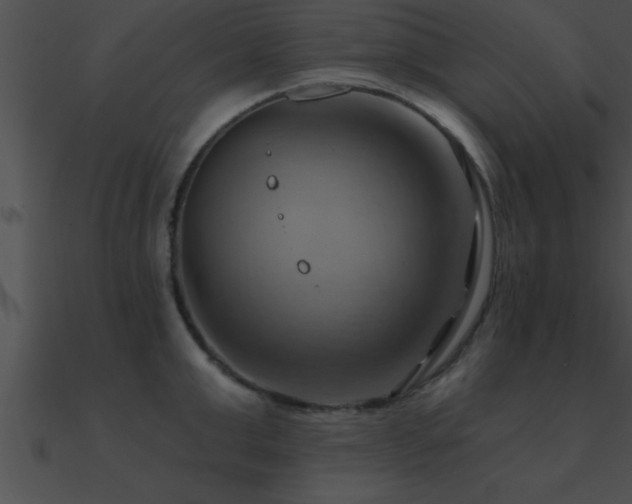 X0000090980999200708021454