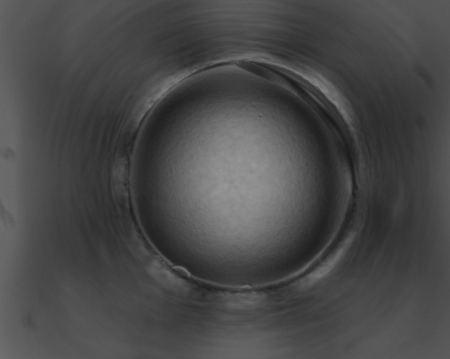 X0000090981001200708021454