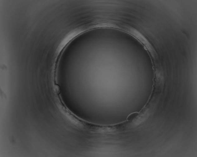 X0000090981002200708021454