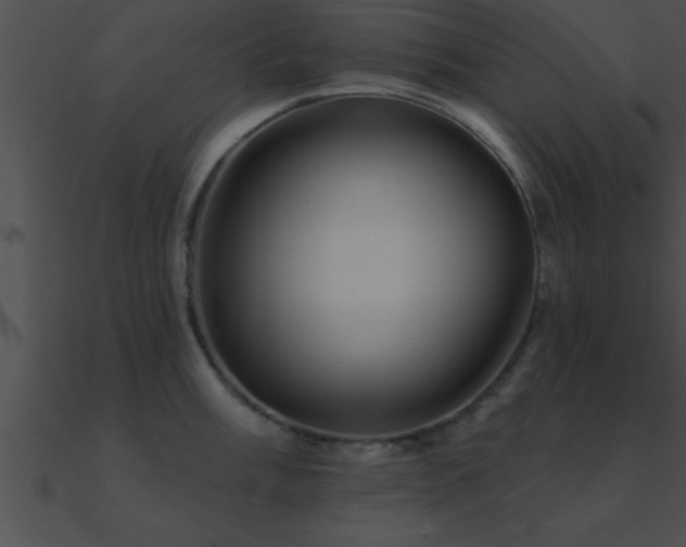 X0000090981003200708021454