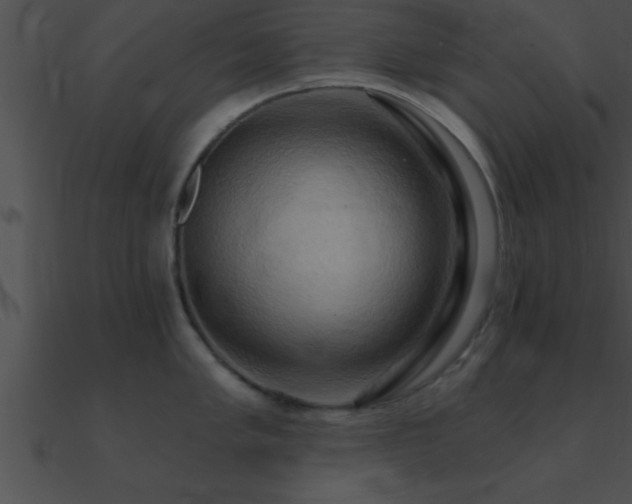 X0000090981005200708021454