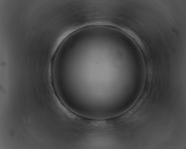 X0000090981006200708021454