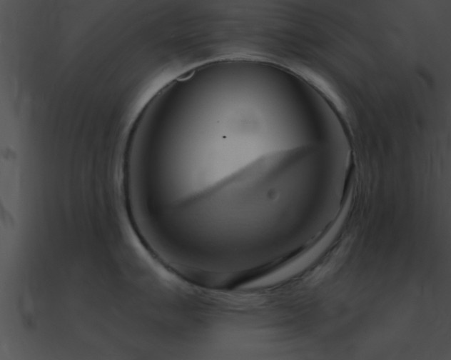 X0000090981007200708021454